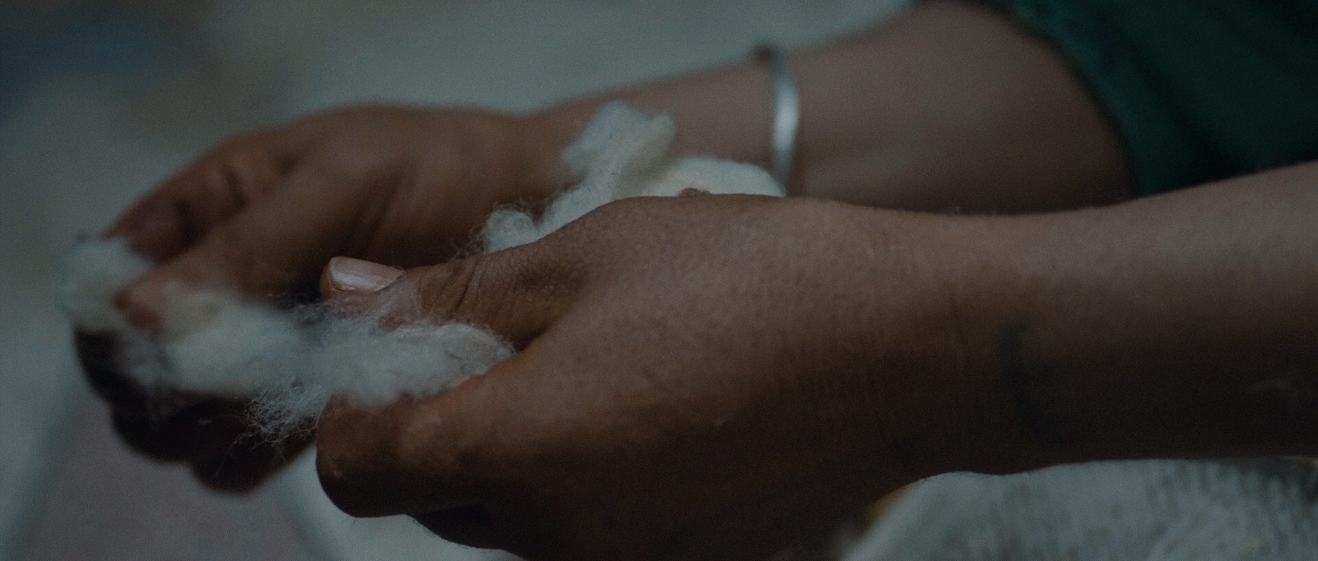 Hands holding raw wool