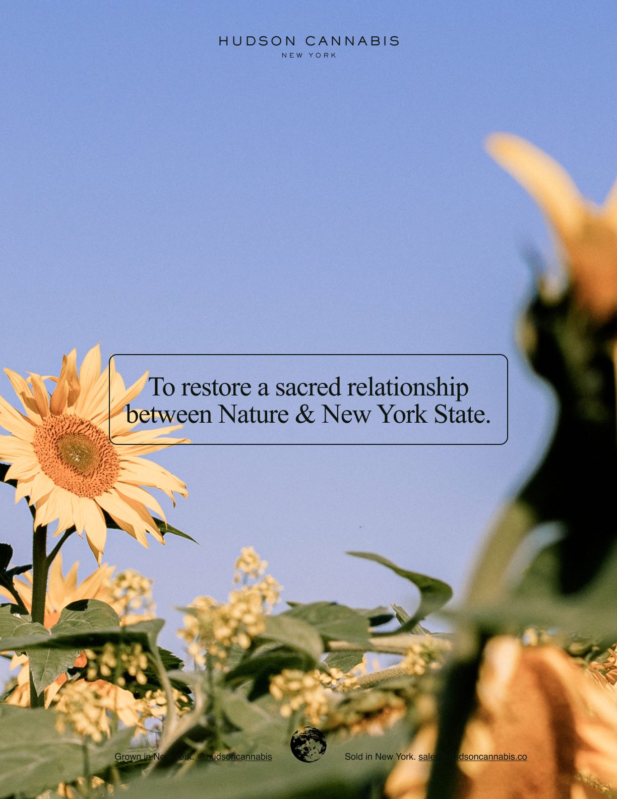 "To restore a sacred relationship between Nature & New York State" — sunflower poster
