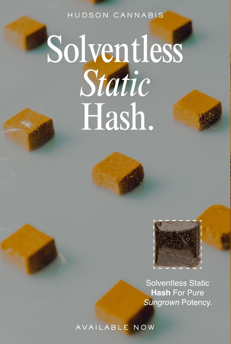 Solventless Static Hash campaign